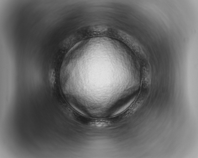 X0000101420758200807211128