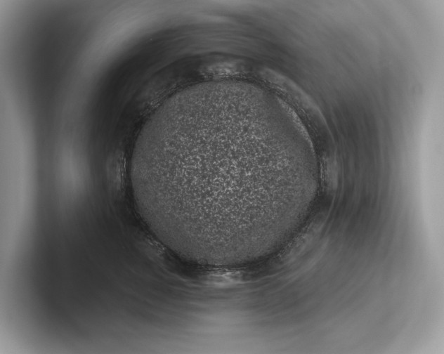 X0000101420760200807211128