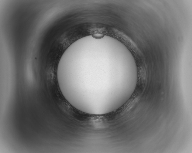 X0000101420761200807211128