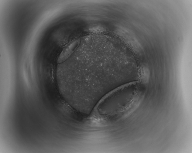 X0000101420762200807211128