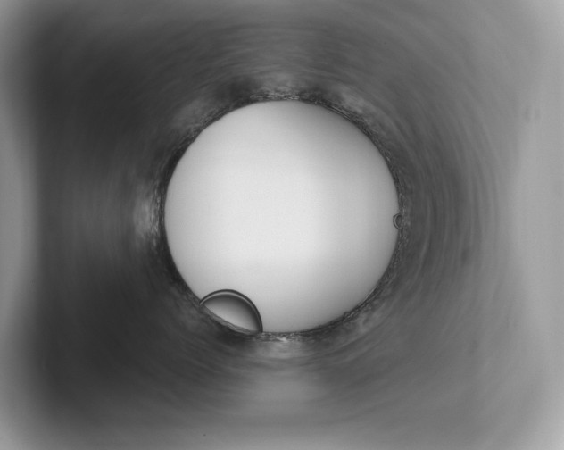 X0000101420768200807211129