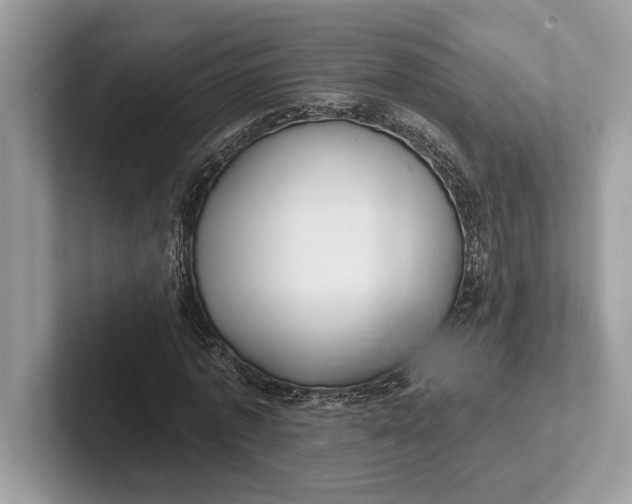 X0000101420773200807211128