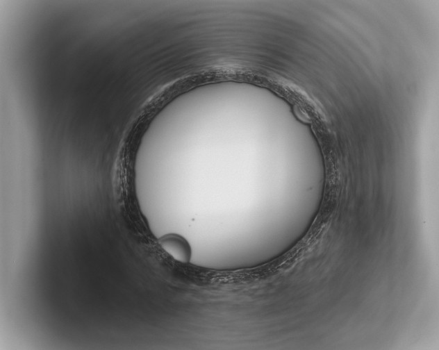 X0000101420776200807211128