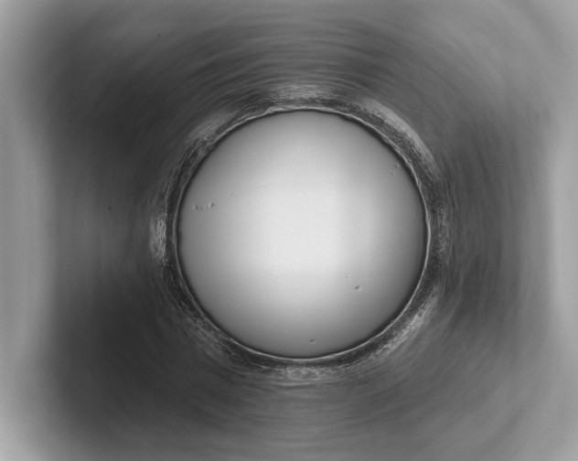 X0000101420777200807211128