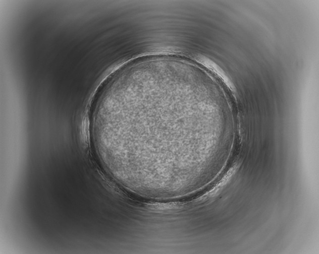 X0000101420781200807211128
