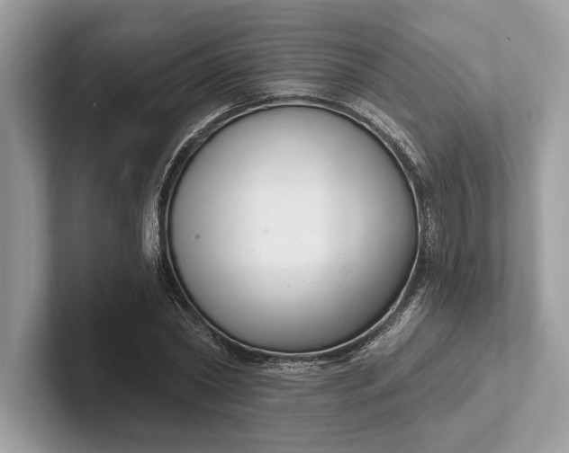 X0000101420782200807211128