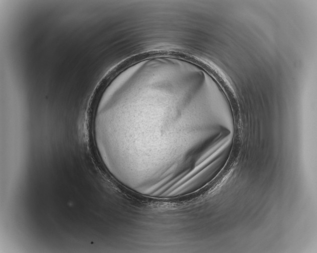 X0000101420783200807211128