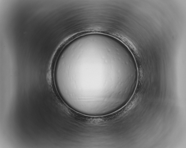 X0000101420784200807211128