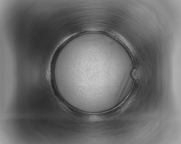 X0000101420787200807211128