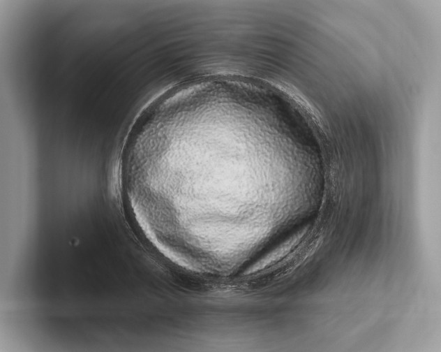 X0000101420790200807211128