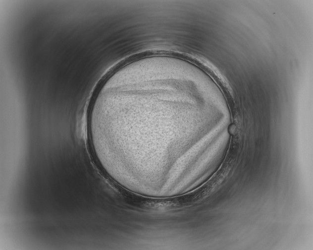 X0000101420791200807211128