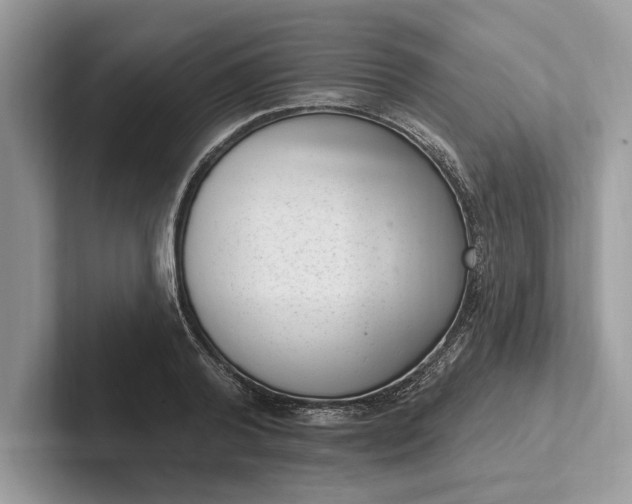 X0000101420792200807211128