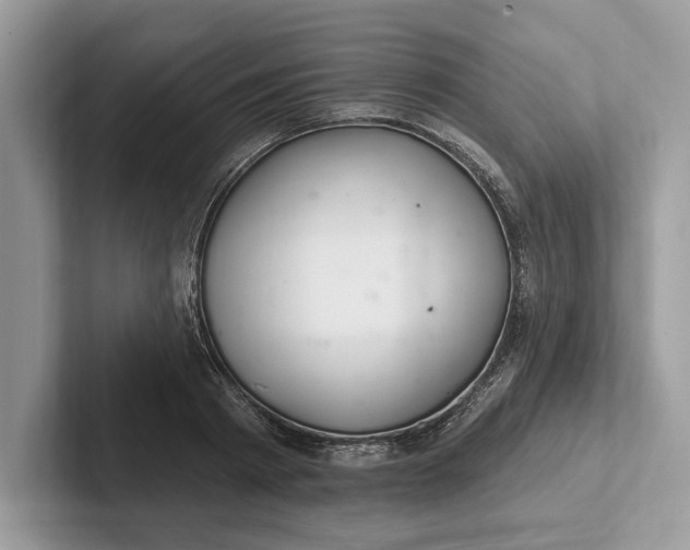X0000101420793200807211128