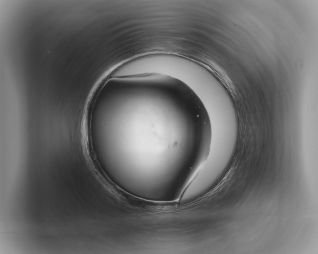 X0000101420796200807211127