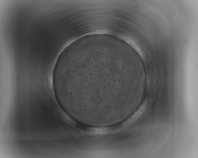 X0000101420797200807211127