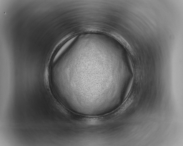 X0000101420798200807211127