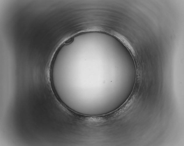 X0000101420805200807211127