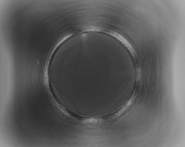 X0000101420806200807211127