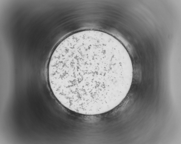 X0000101420807200807211127