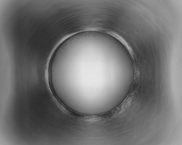 X0000101420811200807211127