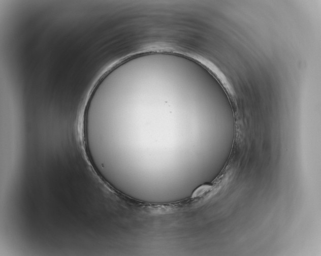 X0000101420815200807211127