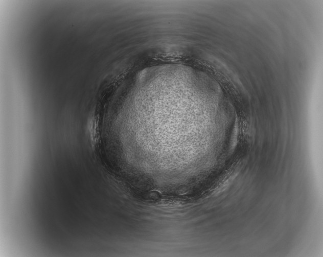X0000101420818200807211127