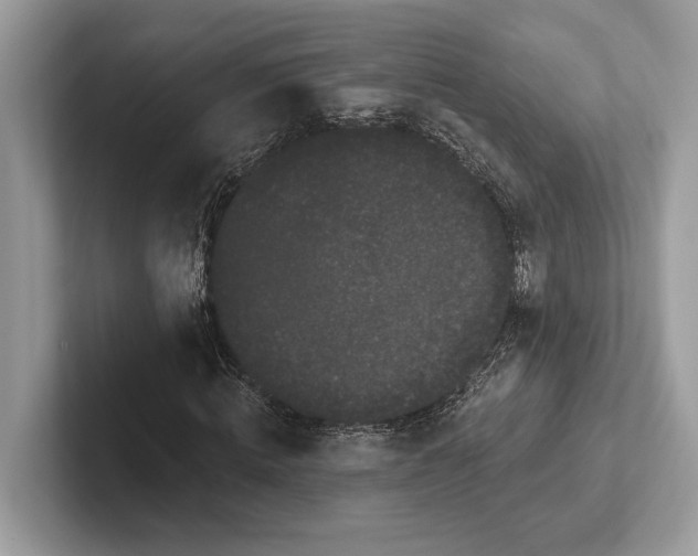 X0000101420820200807211127