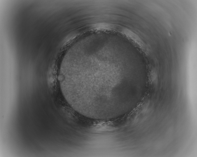 X0000101420824200807211127