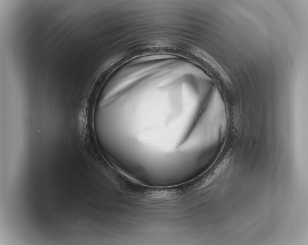 X0000101420826200807211127
