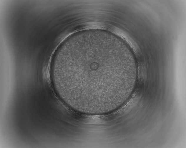 X0000101420828200807211127