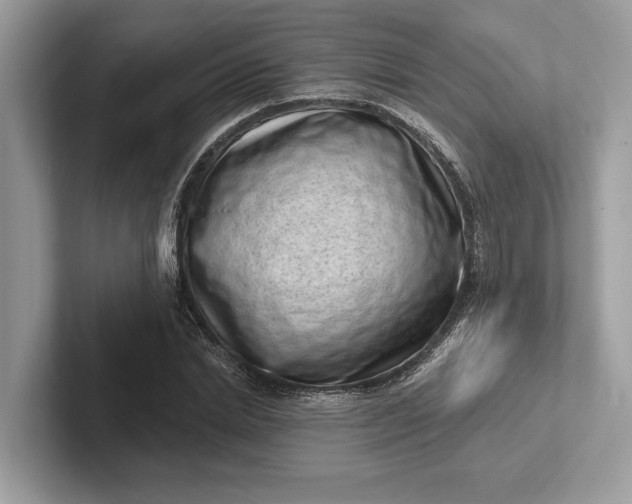 X0000101420830200807211127