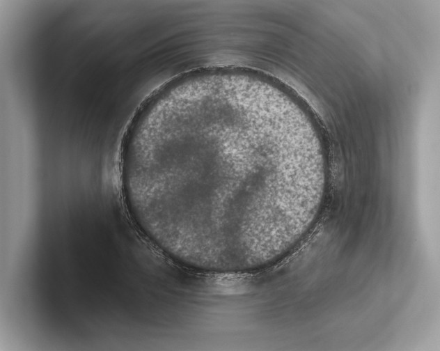 X0000101420832200807211127