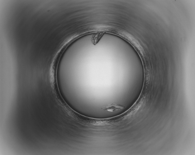 X0000101420835200807211127