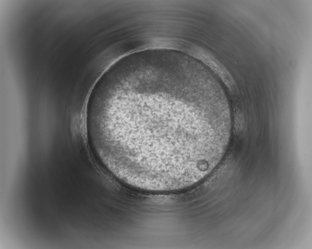 X0000101420836200807211127