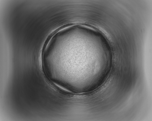 X0000101420840200807211127