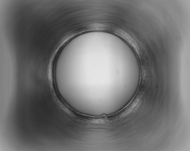 X0000101420843200807211127