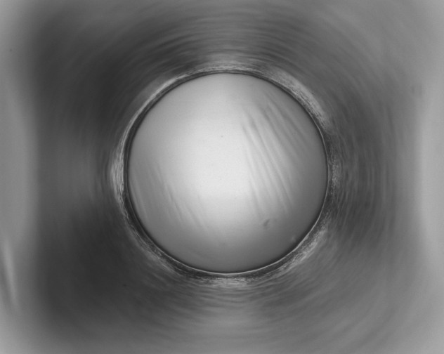 X0000101420844200807211127