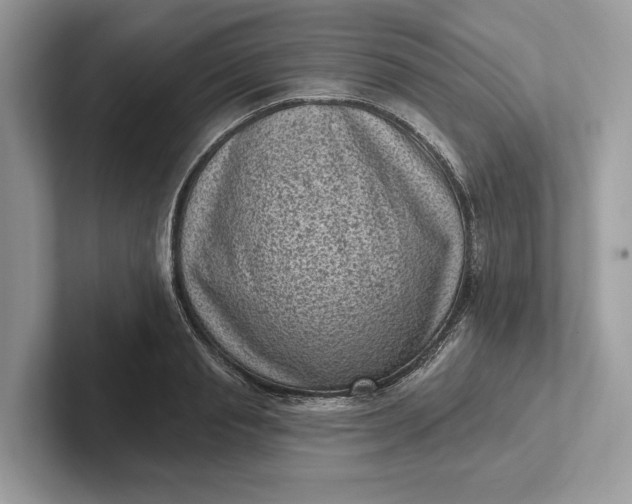 X0000101420845200807211127