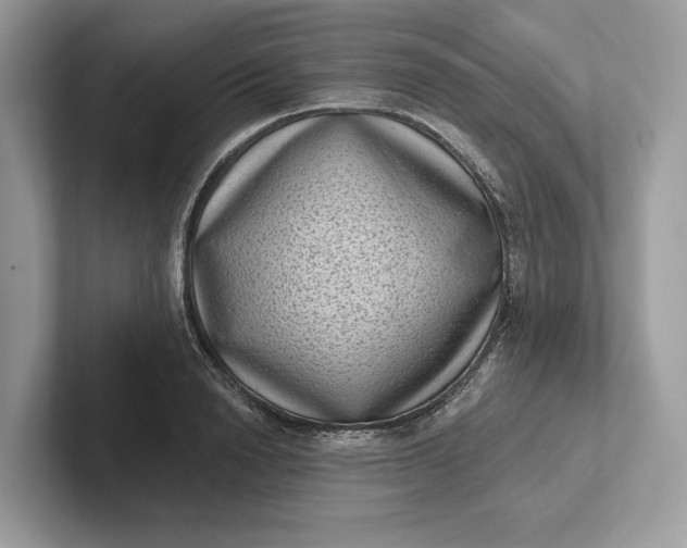 X0000101420846200807211127