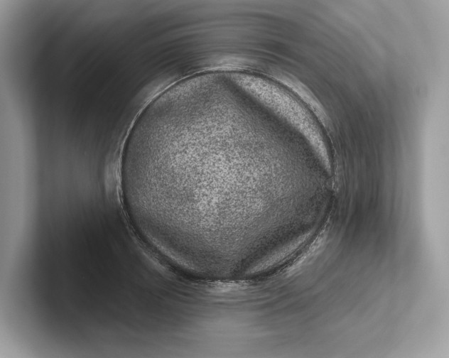 X0000101420850200807211127