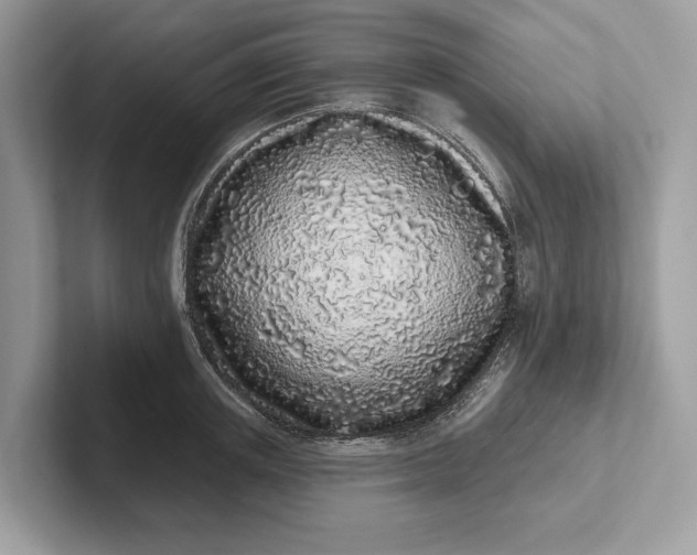 X0000101420851200807211127