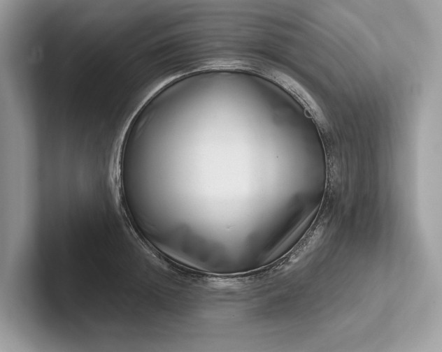 X0000101420852200807211127