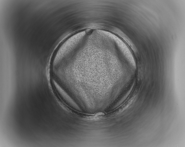 X0000101420853200807211127