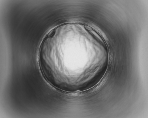 X0000101420855200807211127