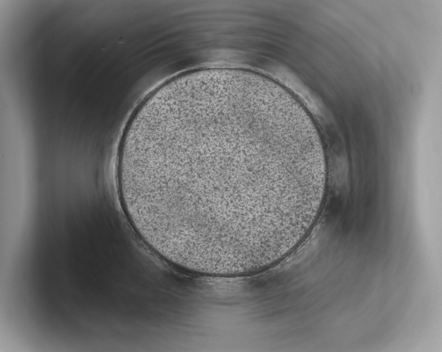 X0000101420856200807211127