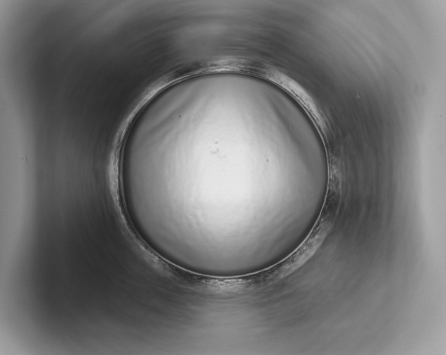 X0000101420859200807211127
