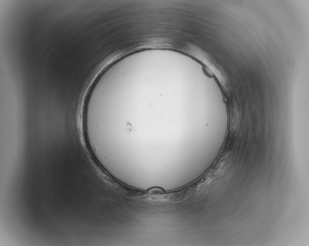 X0000101420861200807211127