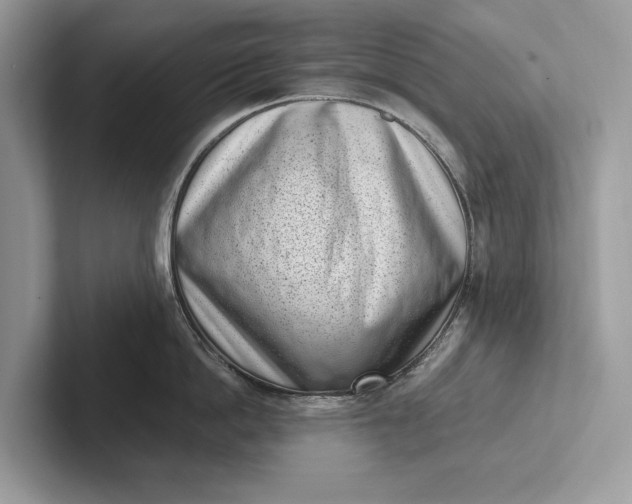 X0000101420862200807211127