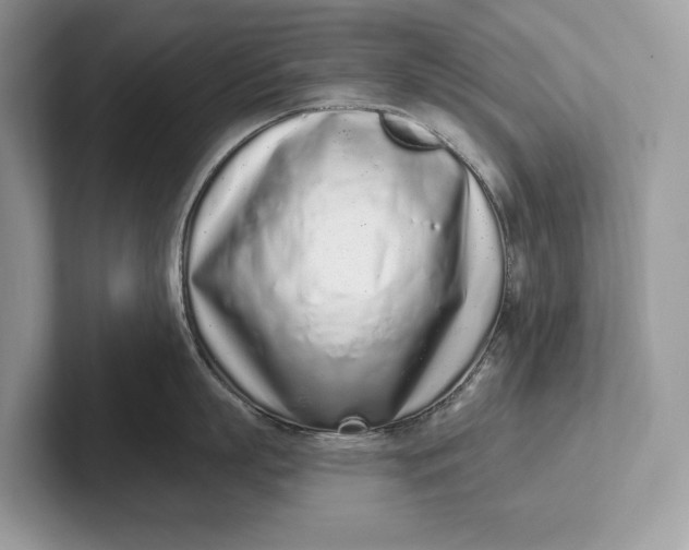 X0000101420863200807211127
