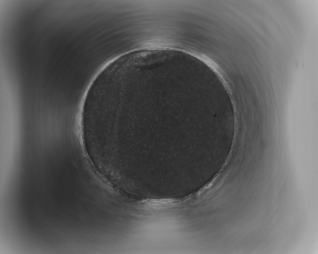 X0000101420864200807211127